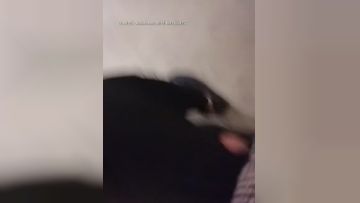 [原版]_015_风月寻欢_足浴店勾搭开房啪啪_20210107