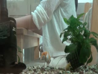 152cm苗条身材美少女爱神觉醒