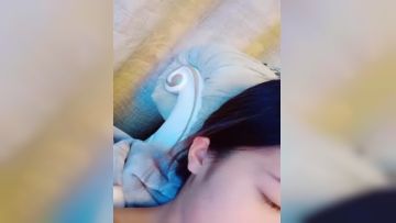 宝贝你别闹，全程露脸高颜值极品小骚货，肤白貌美大奶子，粉嫩的逼逼跳蛋蹂躏，淫声荡语揉奶玩逼呻吟可射第04集